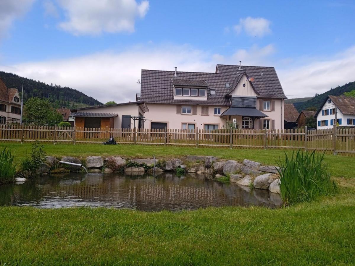 Le Gite Des Kritter Stosswihr Exteriér fotografie